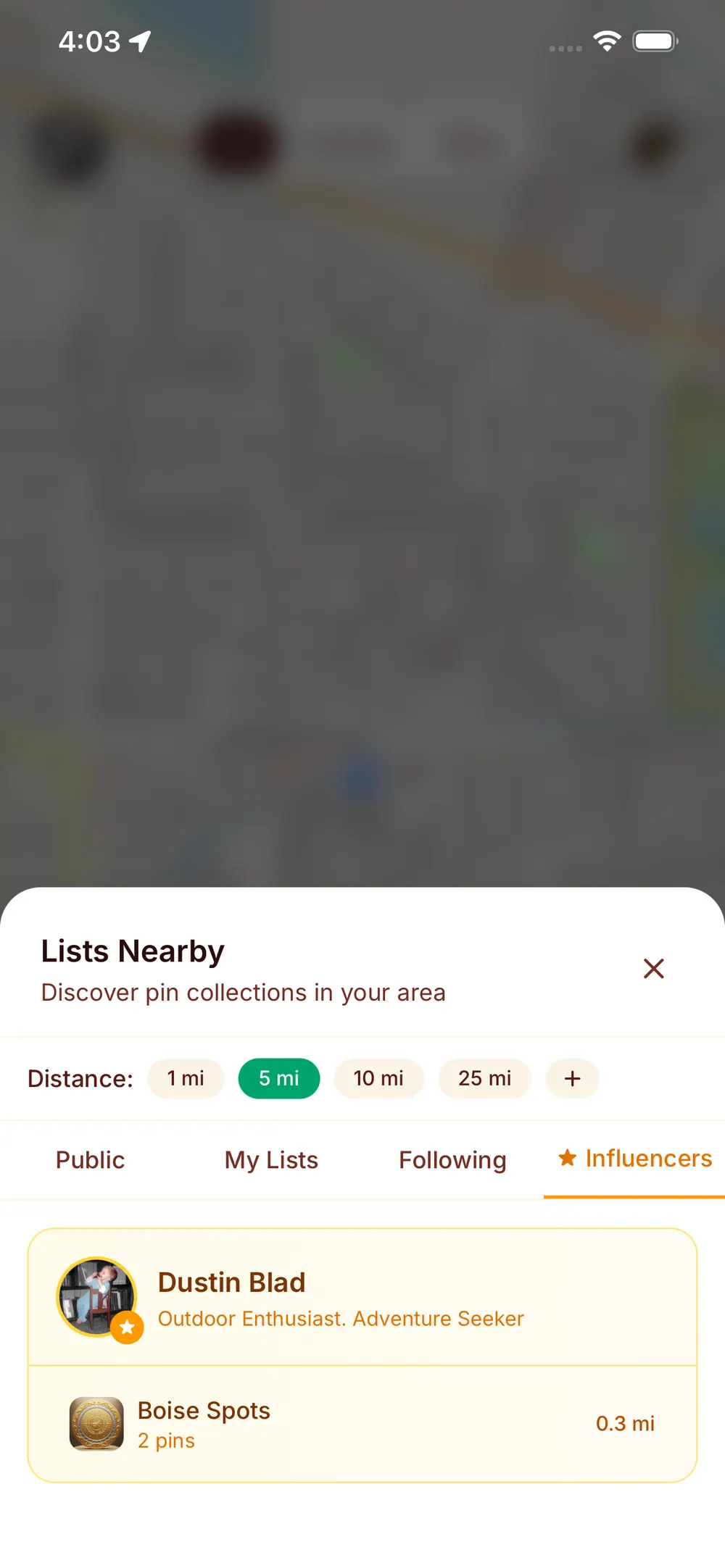 Pin Mint screenshot 6